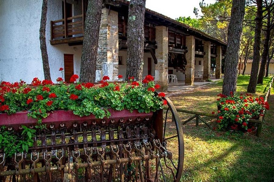 Camping Village Belvedere Pineta, Grado