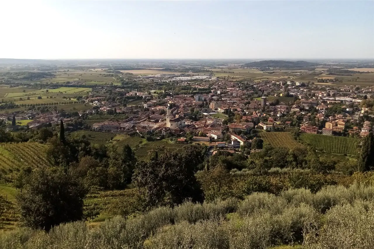 Le colline del Collio intorno a Cormons: da qui vengono i bianchi più noti della regione