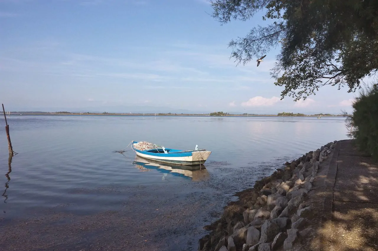 La laguna di Grado: acqua bassa, isole di canne e barche da pesca